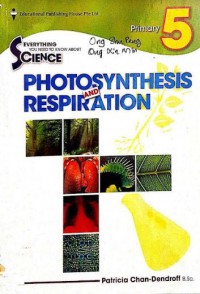 Everything You Need To Know About Science : Photosynthesis And Respiration Primary 5