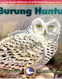 Kehidupan Di Alam Bebas : Burung Hantu