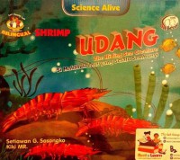 Udang Si Makhluk Laut Yang Selalu Sembunyi - Shrimp The Hiding Sea Creature