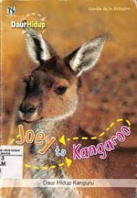 Daur Hidup : Joey To Kangaroo Daur Hidup Kanguru