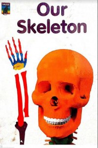 Our Skeleton