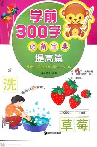 Xue Dian 300 Zi