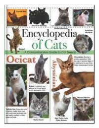 Encyclopedia Of Cats A Comprehensive Guide To Cat Breeds