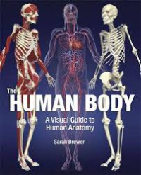 The Human Body A Visual Guide To Human Anatomy