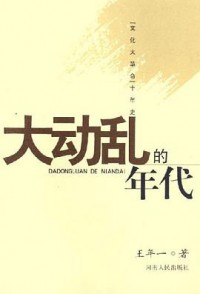 Dadongluan De Niandai ( Wenhua Da Geming Shi Nianshi )