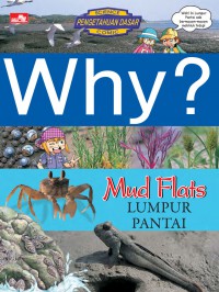 Why? Mud Flats : Lumpur Pantai