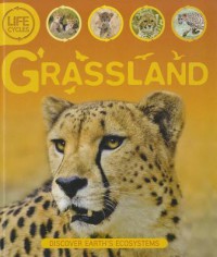 Grassland