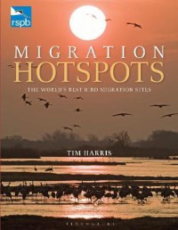 Migration Hotspots : The World's Best Bird Migration Sites