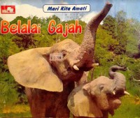 Mari Kita Amati : Belalai Gajah