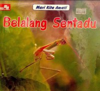 Mari Kita Amati : Belalang Sentandu