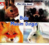 Mari Kita Amati : Bulu Musim Dingin