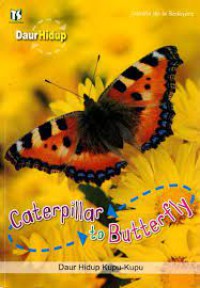 Daur Hidup : Caterpillar To Butterfly