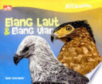 Apa Bedanya : Elang Laut Dan Elang Ular