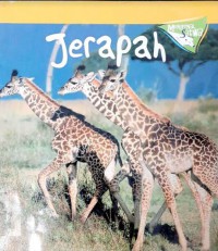 Mengenal Satwa : Jerapah