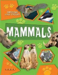 Amazing Life Cycles : Mammals