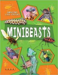 Amazing Life Cycles : Minibeasts