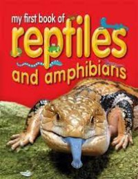 My First Book Of Reptiles And amphibians