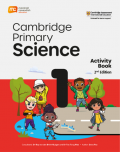 Cambridge Primary Science 2nd Edition: Activity Book 1