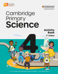 Cambridge Primary Science 2nd Edition: Activity Book 4