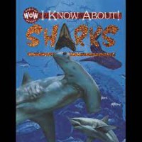 I Know About ! : Shark