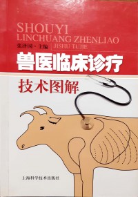 Shou Yi Lin Chuang Zhen Liao