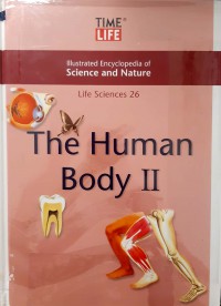 The Human Body II