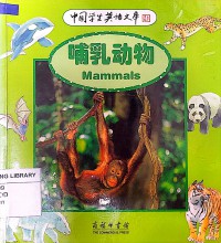 Buru Dongwu: Mammals