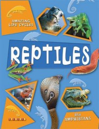 Amazing Life Cycles Reptiles And Amphibians