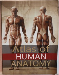 Atlas Of Human Anatomy