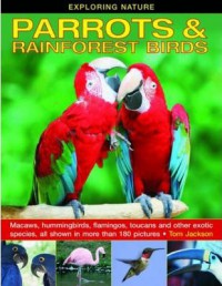 Exploring Nature Parrots & Rainforest Birds