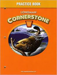 Longman Cornerstone B, Practice Book