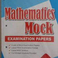 Mathematics Mock Examination Papers Primary 3