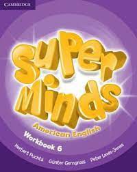 Super Minds American English 6 : Workbook