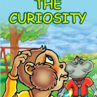 The Curiosity