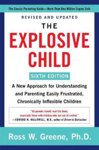 The Explosive Child